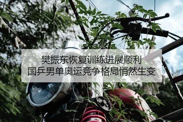 樊振东恢复训练进展顺利 国乒男单奥运竞争格局悄然生变