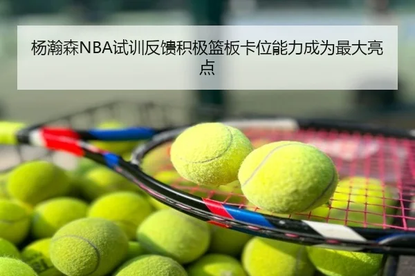 杨瀚森NBA试训反馈积极篮板卡位能力成为最大亮点