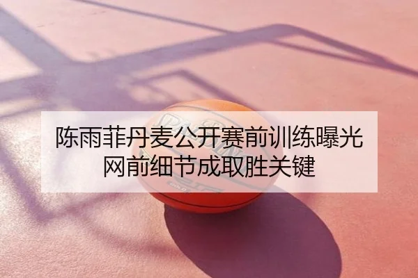 陈雨菲丹麦公开赛前训练曝光 网前细节成取胜关键
